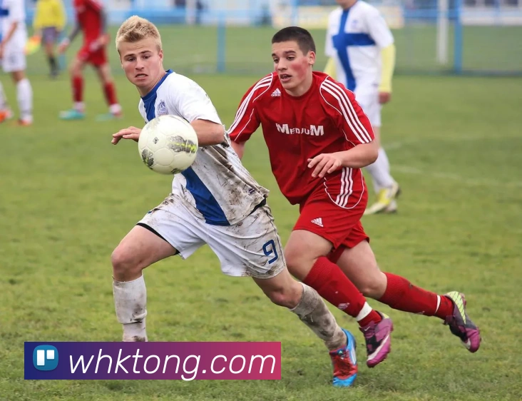 多媒体互动体验